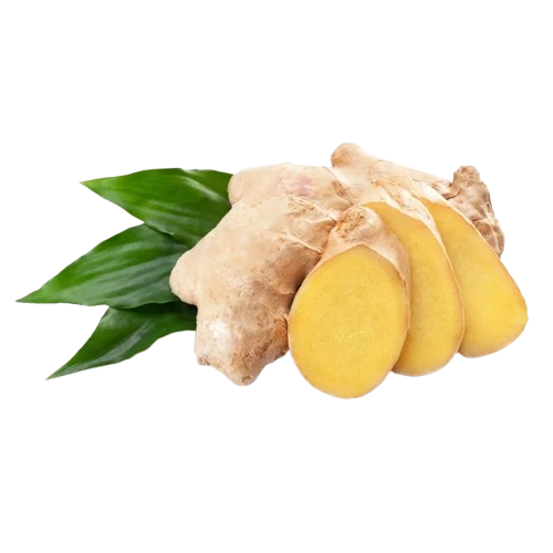 Ginger